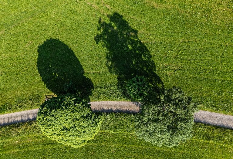 Inzameling voor de voedselbank in Broek in Waterland en Zuiderwoude — natuur in Monnickendam